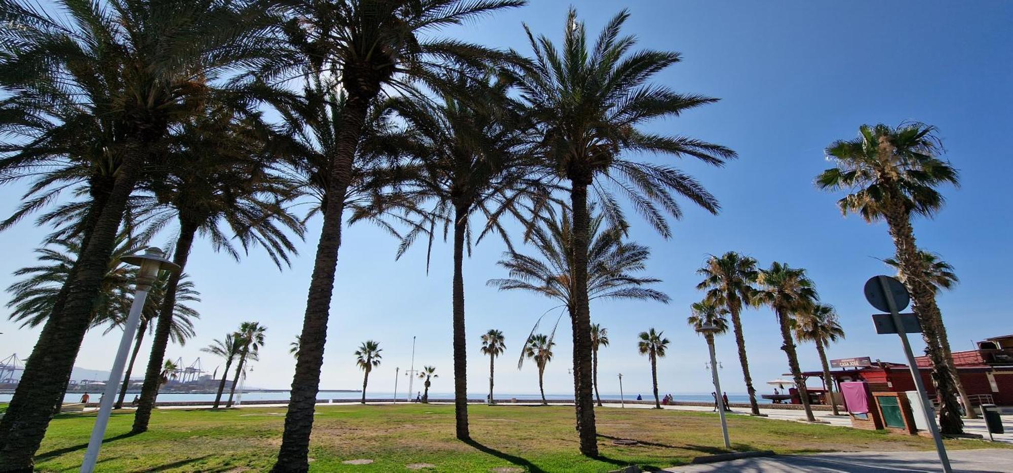 Paloma Beach Málaga Extérieur photo